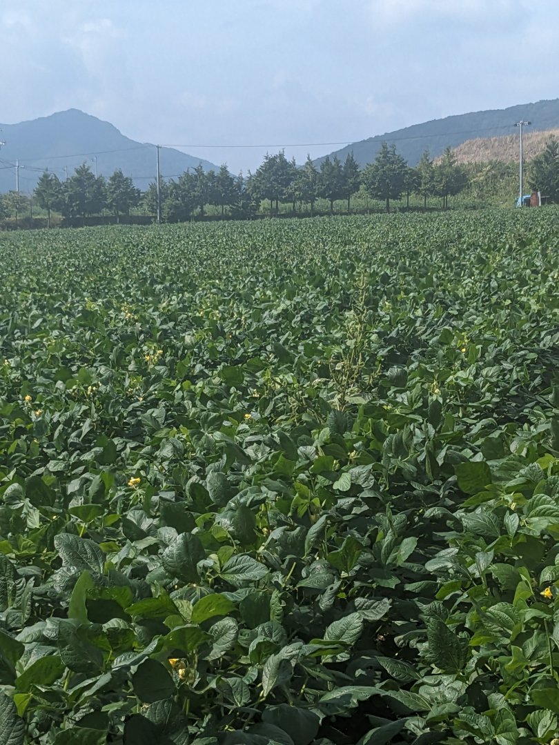 TOPスライド画像01